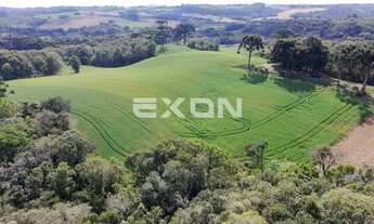 Imagem 7: Terreno à venda 48.513 m2 Colônia Figueiredo Campo Largo