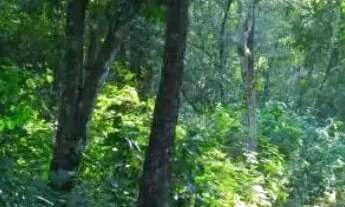 Imagem 3: Vendo Lote Cond. Belas Artes