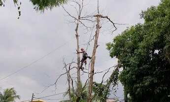 Imagem 3: Terreno à venda, 450 m² por R$ 450.000,00 - Serra Grande - Niterói/RJ