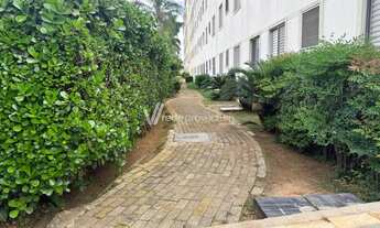 Imagem 5: Apartamento - São Bernardo - Campinas