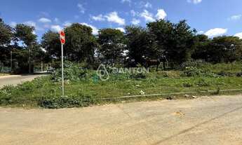 Imagem: Terreno com 456m² bairro canelas