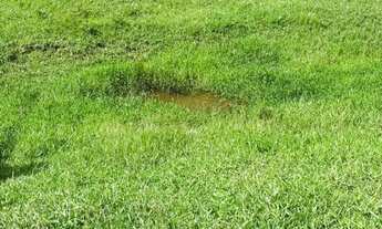 Imagem 3: Sítio para Venda em Flexeiras, Zona Rural, 3 dormitórios, 1 banheiro, 1 vaga