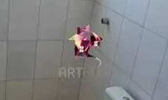 Imagem 6: Cobertura para aluguel, 3 quartos, 1 suíte, 2 vagas, Vila Eldizia - Santo André/SP