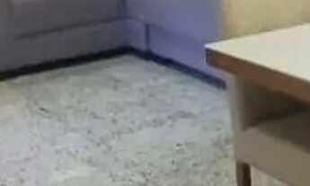 Imagem 2: APARTAMENTO - DONA CLARA - MG