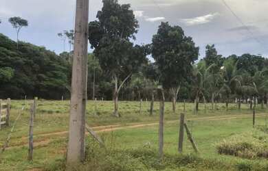 Imagem 4: Fazenda 22 hectares na Manuel Urbano 850.000