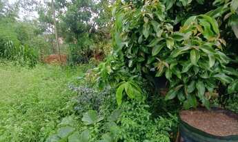 Imagem 5: Terreno à venda com 1.500m² no Chácaras Caxingui Embu das Artes/SP