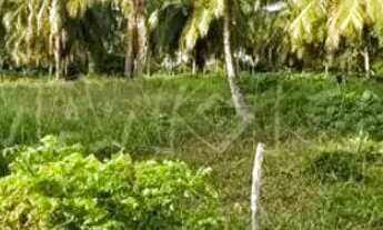 Imagem 3: Terreno 40.000m² Barra dos Coqueiros - SE