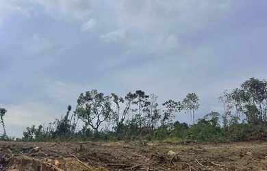 Imagem 7: TERRENO DE 1000M EM SAO ROQUE POR APENAS R$105MIL