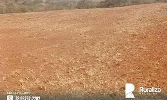 Imagem: Fazenda Uberaba-MG Área total 96,8 hectares