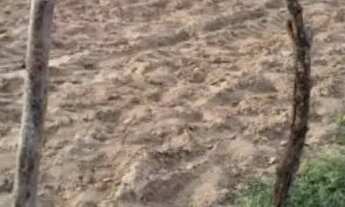 Imagem 6: Vendo 11 tarefas de terra com uma casa