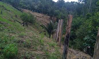 Imagem 5: Sítio com casa Chácara com venda por R$1.400