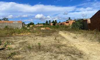 Imagem 4: Oportunidade! Terreno em Povoado Boca da Mata(Atalaia