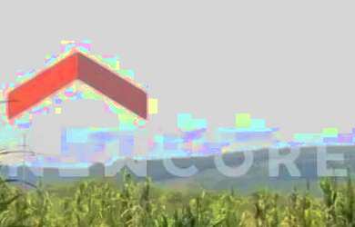 Imagem 4: Sítio em Est Padilha - Padilha - Padilha/RS