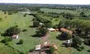 Imagem 5: Fazenda c/ 1.226he c/ 920he abertos/juquirado, dupla aptidão, Jangada-MT