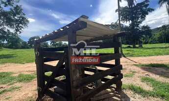 Imagem 4: Fazenda 221 alqueires (1.069 hectares) Uruaçu - GO