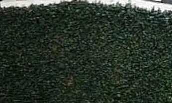 Imagem 2: CASA JARDIM EMILIA