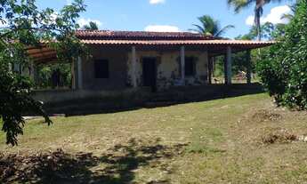 Imagem: Sítio em cachoeira Bahia