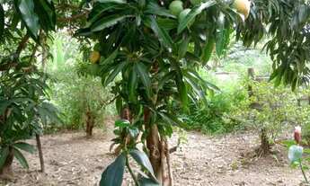 Imagem 2: Venda de casa Bairro Fazenda Severina
