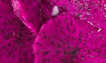 Imagem 7: Chácara em Morretes