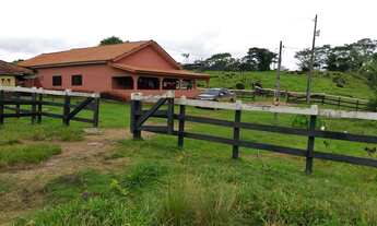 Imagem 3: Sítio ji-parana /rondominas terra linha 208 criação gado /psicultura