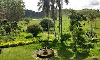 Imagem 2: FAZENDA EM MERCÊS-MG /300ha