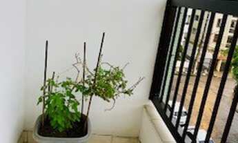 Imagem 3: APARTAMENTO ESPAÇOSO COM 3 QUARTOS