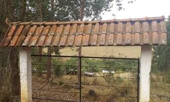 Imagem 4: Sítio 5 Hectares Arantina - Sítio 26 Hectares