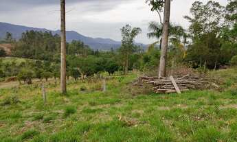 Imagem 4: Sítio em Araricá 6.7 hectares, plantio e pecuária