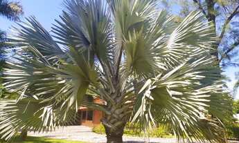 Imagem 3: Chácara luxuosa a venda