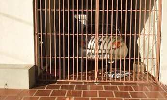 Imagem 2: Casa com 2 quartos - Bairro Jardim São Paulo em Londrina