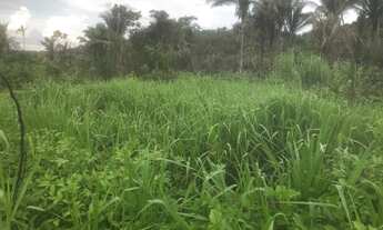 Imagem 2: Terra Timbiras/ Codo