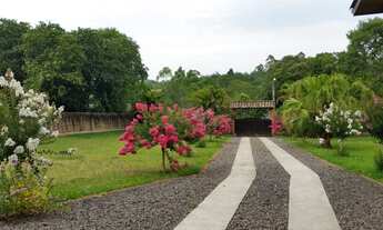 Imagem 6: Lindo Sítio Propriedade Toda Murada - Corcunda, Gravataí - RS