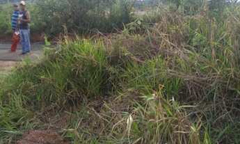 Imagem 2: Chácara Chácara com venda por R$170.000