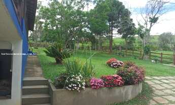 Imagem 3: RV103- 3 dormitórios, 2 vagas de garagem, terreno 6.000,00 m²