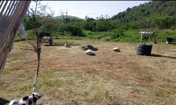 Imagem 5: Aceito oferta)Vendo sitio R$115.000