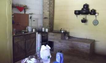 Imagem 4: Sitio 4.500m² com piscina, vários pés de frutas, nascente de água, muito verde, Jaboticatu