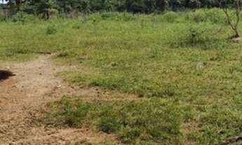 Imagem 5: Fazenda Próximo a MONTES CLAROS!!!980 HECTARES!!!