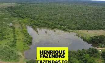 Imagem 4: Fazenda dupla aptidão região sul do Tocantins ....