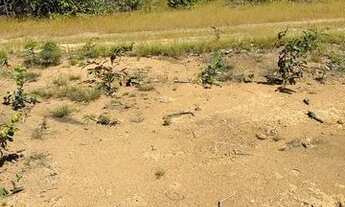 Imagem: Fazenda em Cristalandia 561 ha