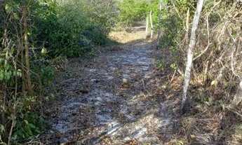 Imagem 4: PANAQUATIRA: Área de 5 hectares a venda a cerca de 800m da beira da praia Ilha de São Luí