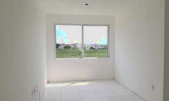 Imagem 4: Apartamento Novo!!