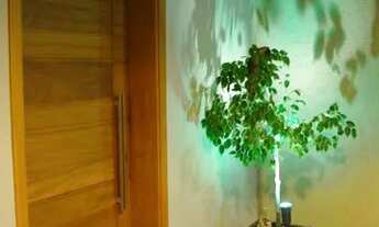 Imagem 5: Casa na Região Nobre Região do Aeroporto