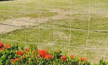 Imagem: Apartamento à venda no bairro Serrinha