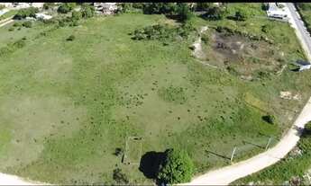 Imagem 4: Vendo Área total de 40mil m2 ou Vendo Separada. Leia o anúncio!