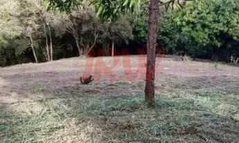 Imagem 7: TERRENOS NA CIDADE DE CARDEAL SP
