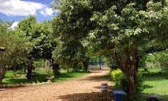 Imagem 5: Vendo chacara alto padrão em pedro palacio