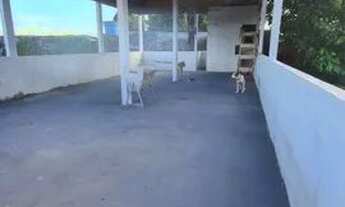 Imagem 3: Casa no parque dez