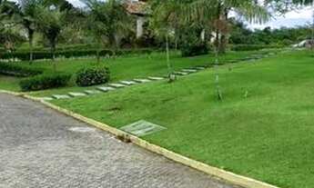 Imagem 3: Lote na etapa 1 no Fazenda Real