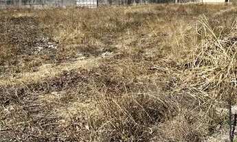 Imagem 7: Área comercial e industrial (alugo) jardim limoeiro