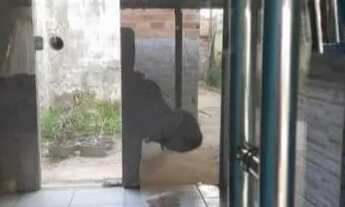 Imagem 6: Aluga uma kitnet grande com garagem pra carro pra rapaz